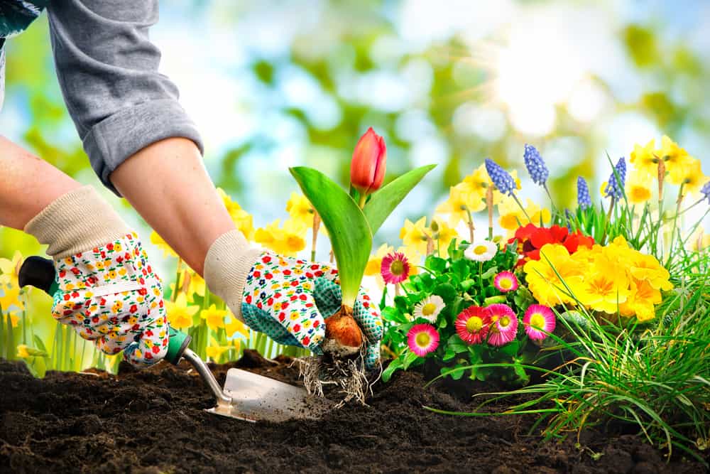 Giardino di stile composto