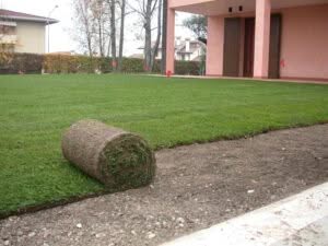 Scopri di più sull'articolo Tappeto Erboso in Placche o in Rotolo