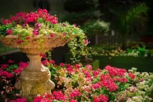 Scopri di più sull'articolo Il giardino, stile e benessere in un’unica soluzione